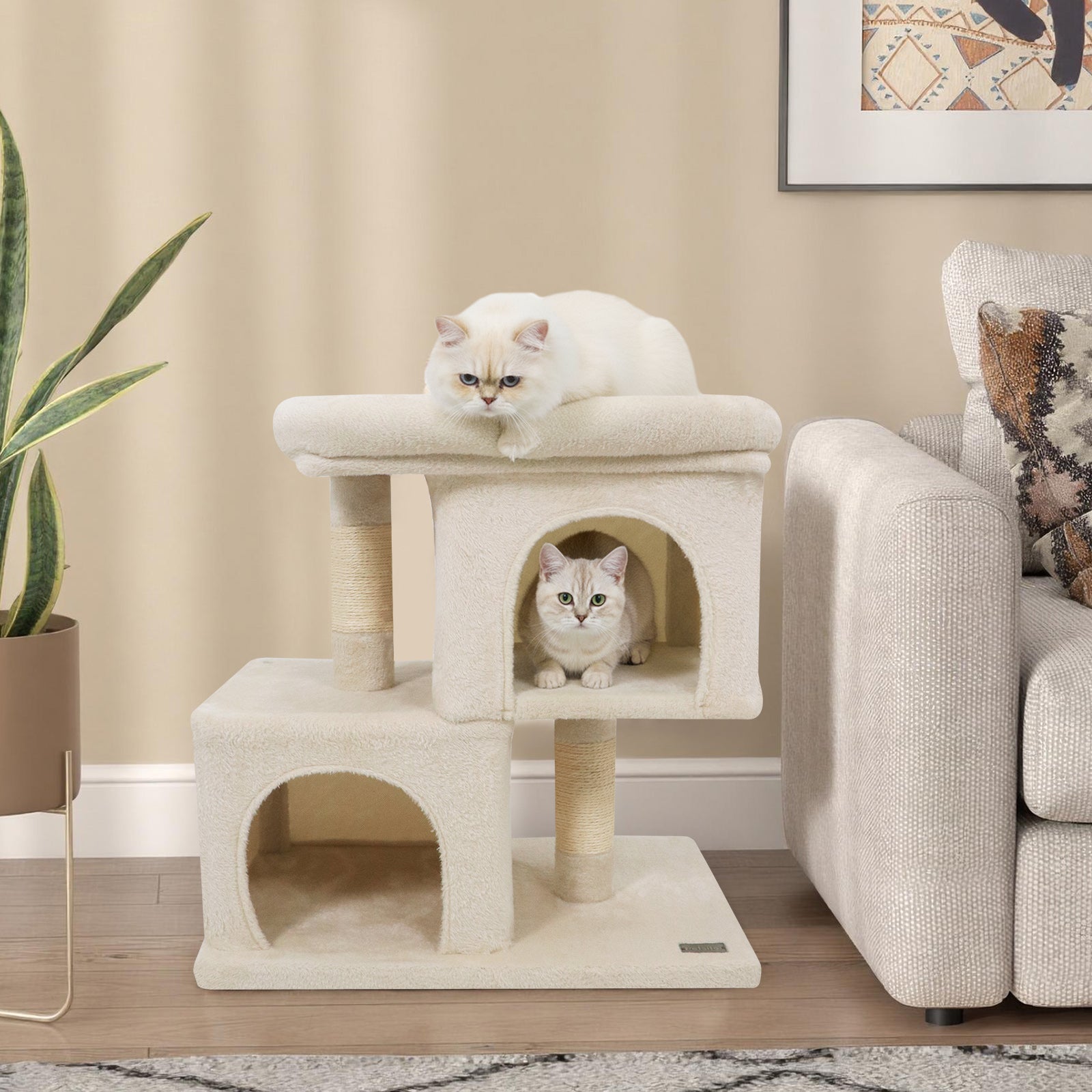 Modern Small Cat Tree with Upholstered Perch and 2 Cat Condos