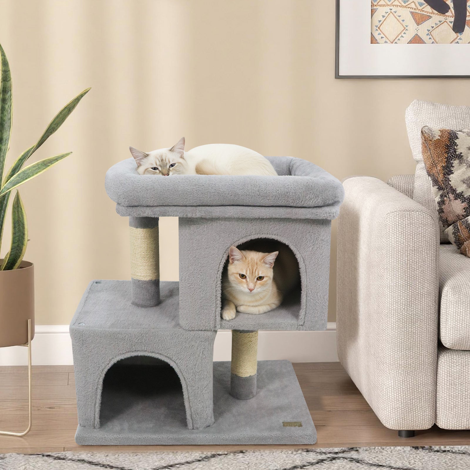 Modern Small Cat Tree with Upholstered Perch and 2 Cat Condos
