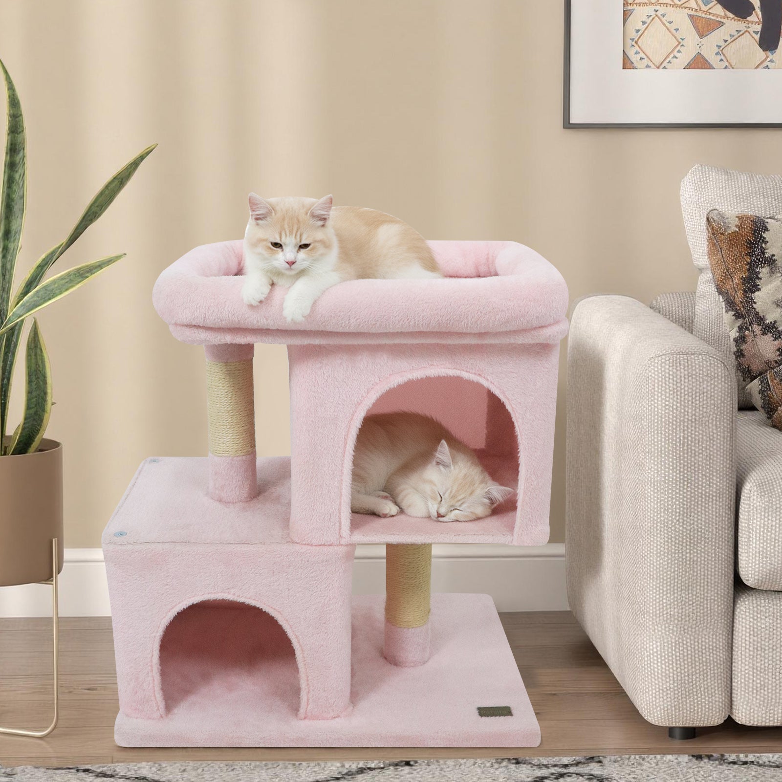 Modern Small Cat Tree with Upholstered Perch and 2 Cat Condos